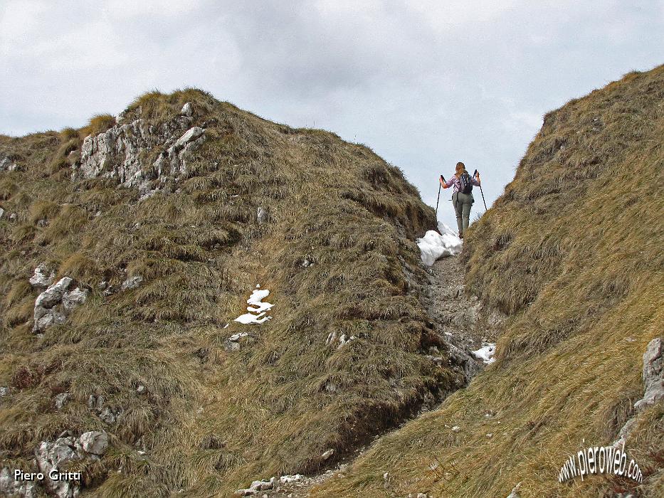 37 Siamo al Passo di Cima Segredont.jpg